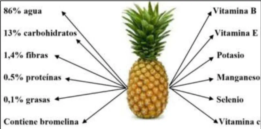 Figura  1. Composición  nutricional  de la piña.   