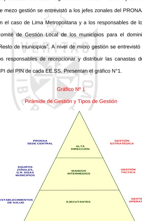 Gráfico Nº 1 