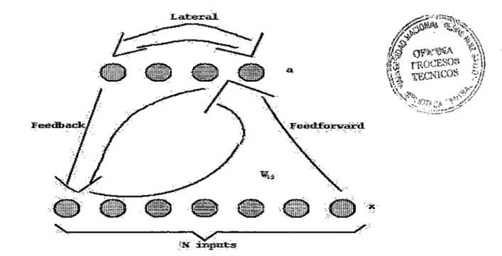 Figura 1.3:  Gráfica  de  conexiones  hacia delante,  hacia atrás,  lateral y de  retardo