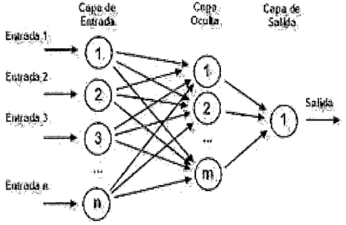 Figura 1.4:  Gráfica del estructura de  la red neuronal en R. 