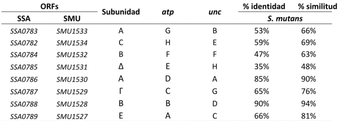 Tabla  03.  Enzimas    ATPasas  F  presente  en  ambos  genomas.  Además    S.  sanguinis  presenta  posiblemente un grupo de genes  alternativo de ATPasa-vacuolares