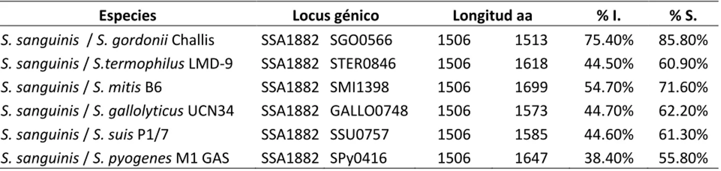 Tabla 05.  Alineamiento de las secuencias de proteínas serin proteasas en el género Streptococcus  sp