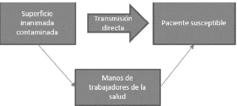 Figura 1. Focos de transmisión (Axel Kramer, 2006) 