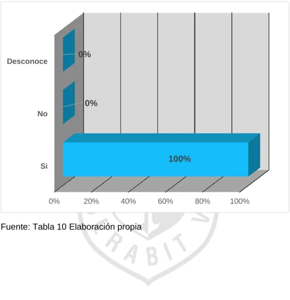 GRÁFICO N° 10 