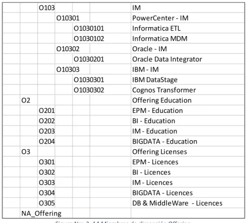 Figura Nro 3. 14 Miembros de dimensión Offering. 