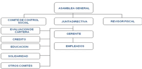 Figura 1. Estructura organizacional FEDE - Icesi. 