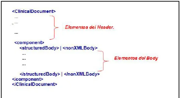 Figura 7 Representación XML CDA. 
