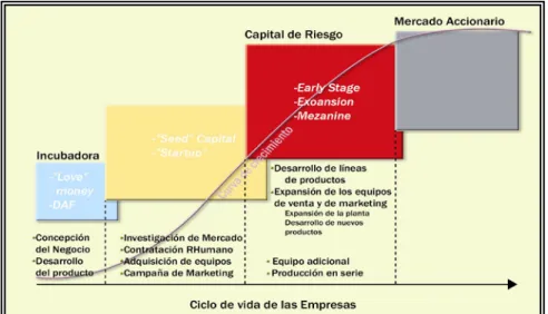 Gráfico 3.5. Evolución de la empresa y etapas de inversión 