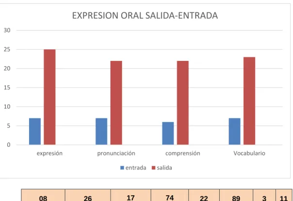 Gráfico N° 11 