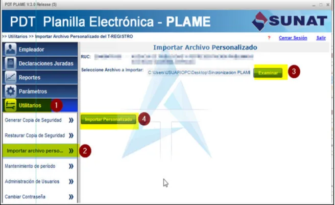 Figura 8: Ejemplo de PLAME 