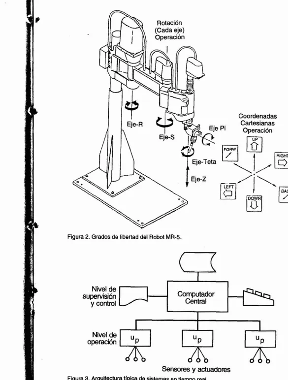 Figura 2. Grados de libertad del Robot MR-5.