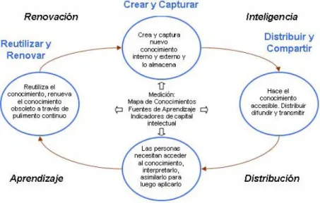 Gráfico No. 1.  Ciclo del conocimiento