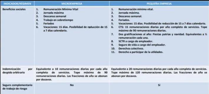 Tabla 7: Beneficios de la Micro y Pequeña empresa 