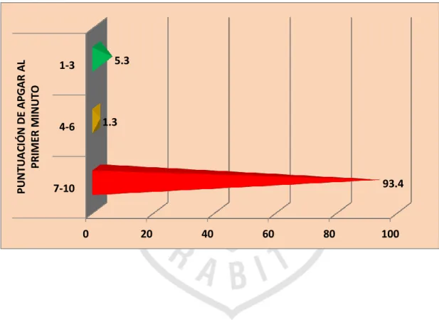 GRÁFICO Nº 5 