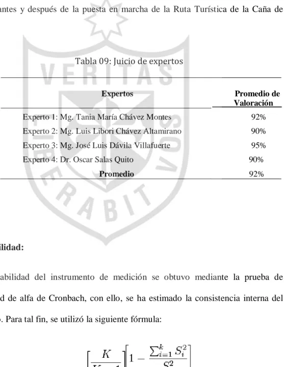 Tabla 09: Juicio de expertos 