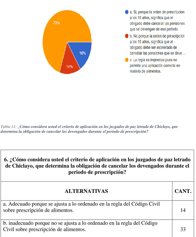 Ilustración 5: Grafico de la Tabla Nº10 