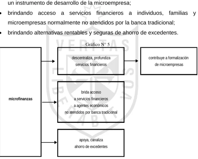 Gráfico N° 5 