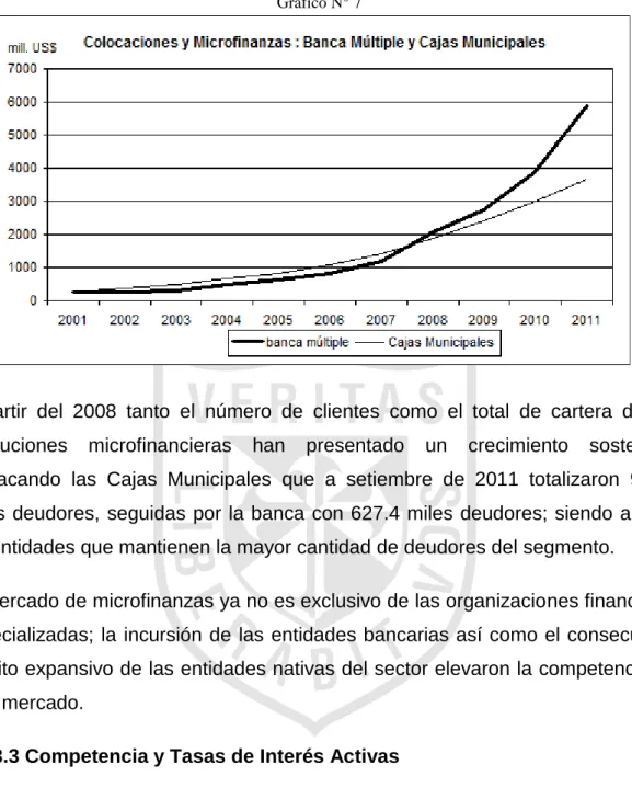 Gráfico N° 7 