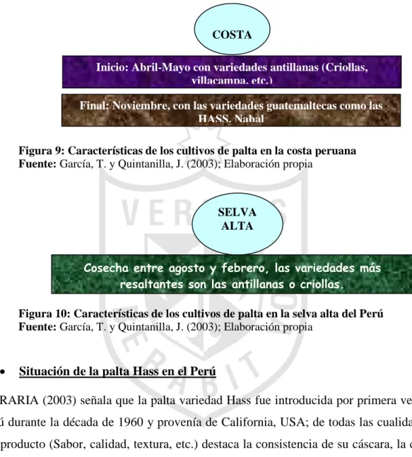 Figura 9: Características de los cultivos de palta en la costa peruana  Fuente: García, T