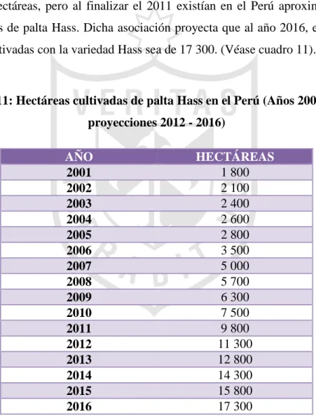 Cuadro 11: Hectáreas cultivadas de palta Hass en el Perú (Años 2001 - 2011,  proyecciones 2012 - 2016) 