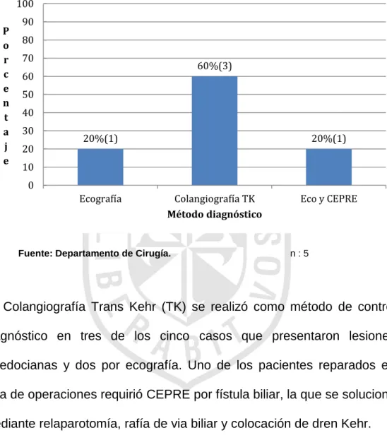 Gráfico 7 