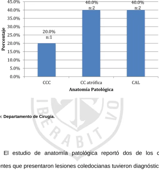 Gráfico 8 