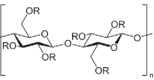 Figura  4. Estructura química de la hidroxi-propil-metil-celulosa (HPMC), donde R =H, CH 3