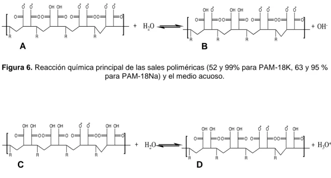 Figura 6. Reacción química principal de las sales poliméricas (52 y 99% para PAM-18K, 63 y 95 %  para PAM-18Na) y el medio acuoso