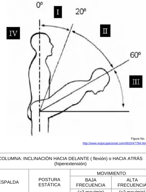 Figura No. 4  http://www.ergocupacional.com/4910/47794.html 