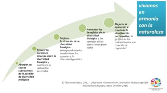 Figura 1: Objetivos Estratégicos del Plan Estratégico para la Diversidad Biológica 2011- 2011-2020 