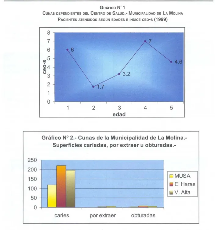 GRÁFICO  N' 1 