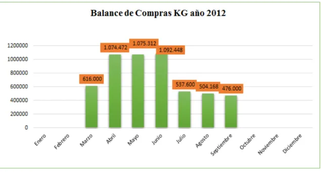 Figura 7. Balance de compras por kg - año 2012. 