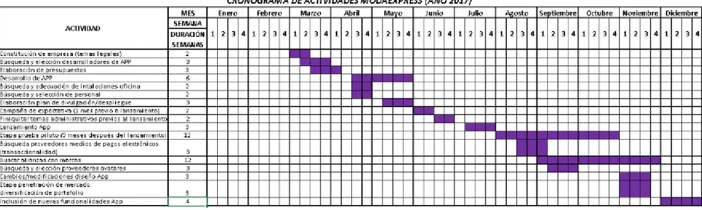 Figura 2. Cronograma de actividades (año 2017).