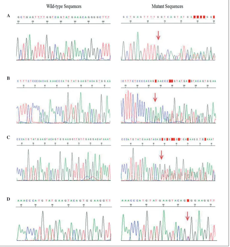 Fig. 1. Chromatograms of DNA sequences of KIT. The wild-type sequences are on the left side, and the mutated sequences are on the right