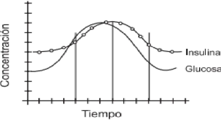Gráfico 6 