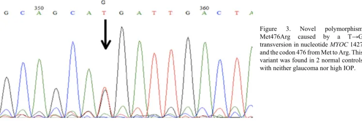 Figure  3.  Novel  polymorphism Met476Arg  caused  by  a  T→G transversion in nucleotide MYOC 1427 and the codon 476 from Met to Arg