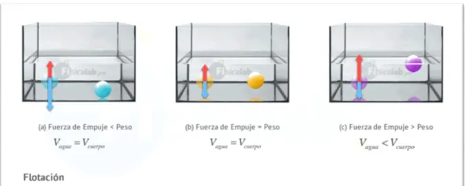 Figura 2. Flotación 