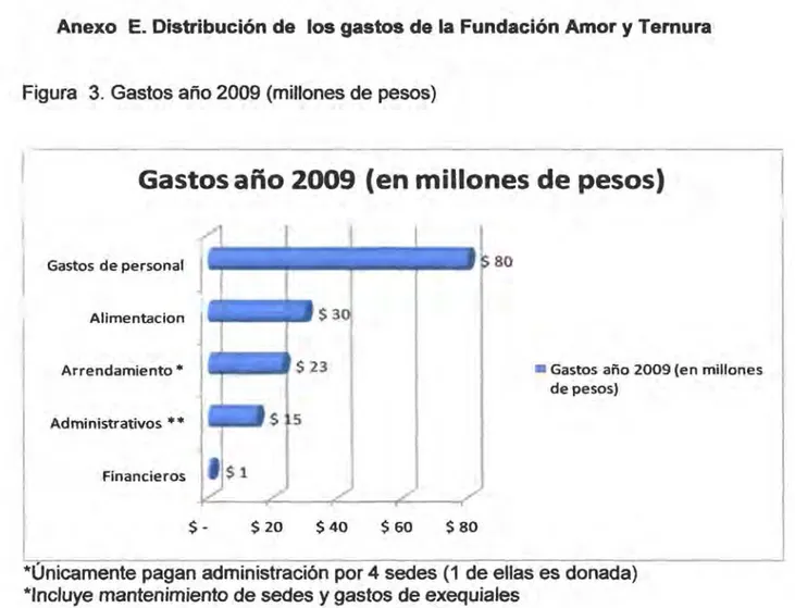 Figura  3.  Gastos año 2009 (millones de pesos) 