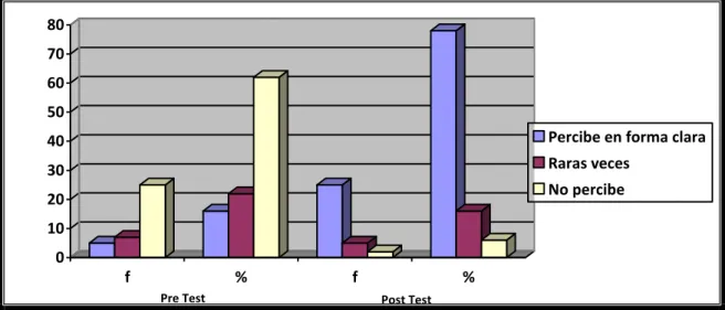 GRÁFICO Nº 01  01020304050607080 f % f %