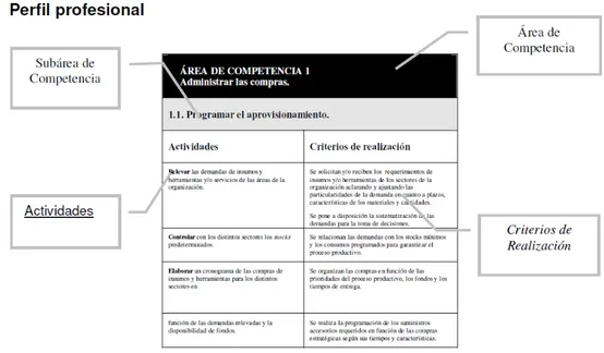 Figura 1: Perfil profesional 