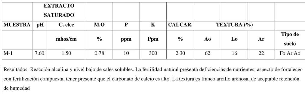 CUADRO 2: ANALISIS DE SUELOS 