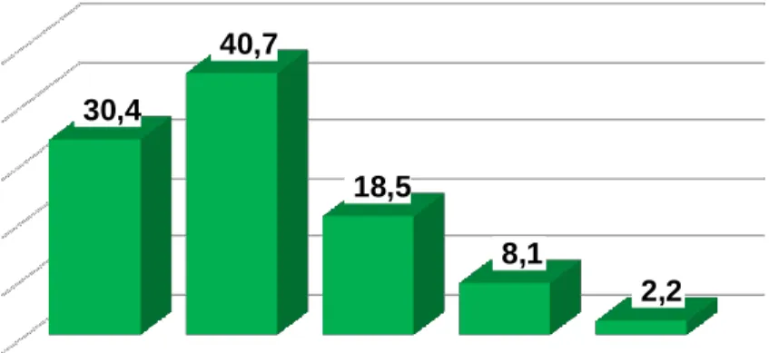 Gráfico 6 