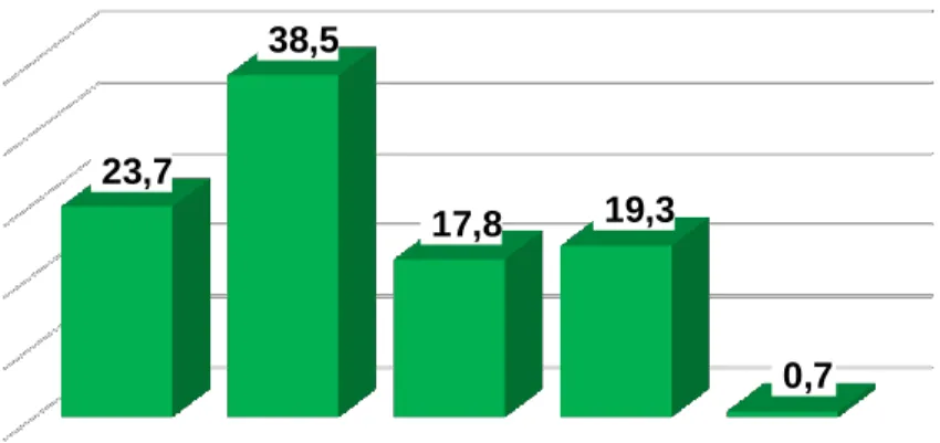 Gráfico 4 