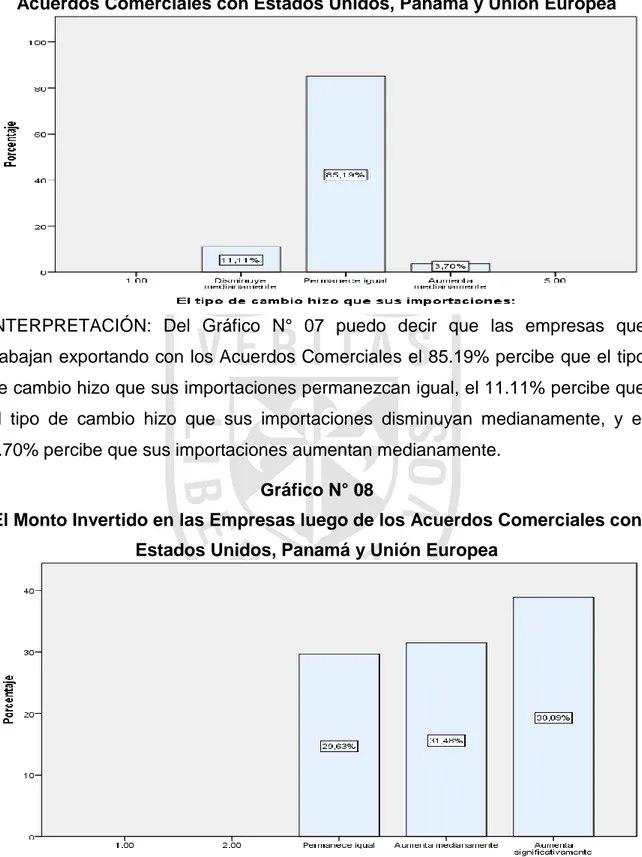 Gráfico N° 08 