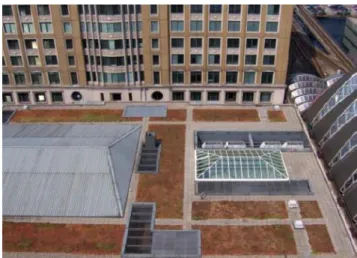 Figura N° 5. Techos Sedum en edificio comercial,  Canary Wharf, al este de Londres. 