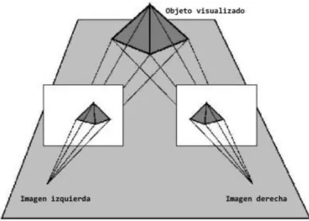 Ilustración 5: Visión estereoscópica 