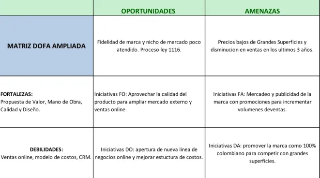 Figura 3. Matriz DOFA Ampliada 
