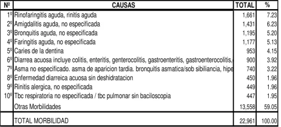Tabla  5:  Diez  primeras  causas  de  morbilidad  general  Centro  de  Salud Rímac año 2006 