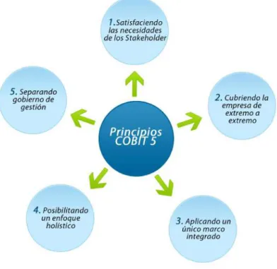 Figura 8. Principios de COBIT 5 