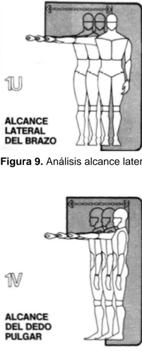 Figura 9. Análisis alcance lateral del brazo. 
